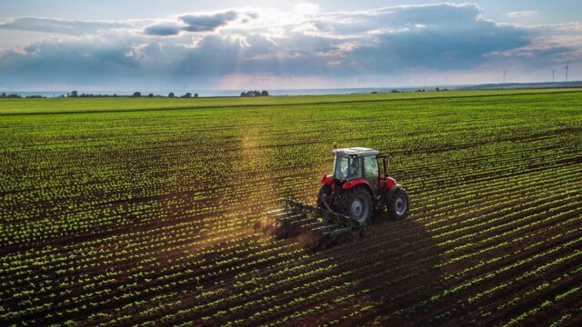 Le reti di impresa agricole europee